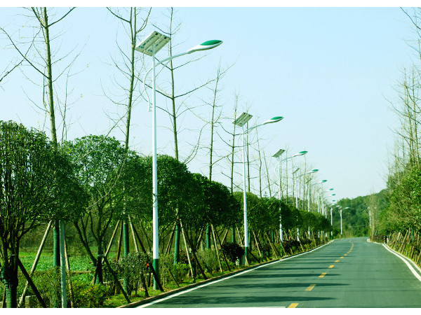 鄉(xiāng)村太陽能路燈